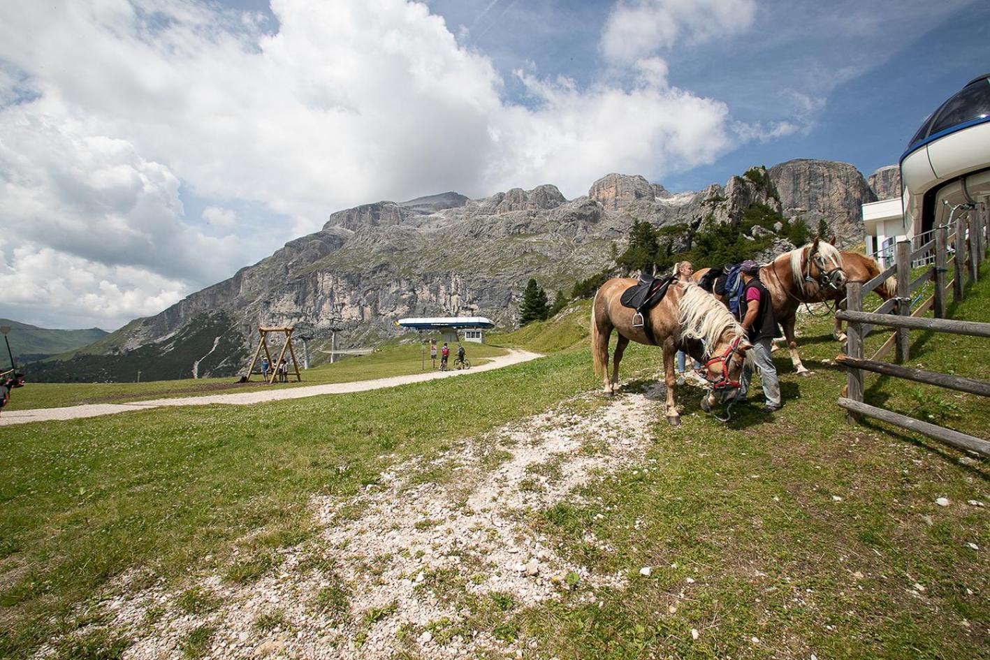 Hotel Alpenrose Arabba Exteriér fotografie